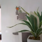 A Due Passi Dal Centro E Dal Mare * 마르살라
