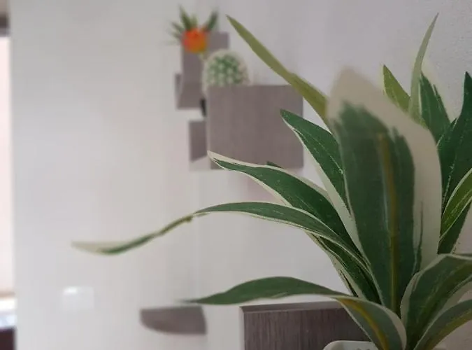 A Due Passi Dal Centro E Dal Mare * 마르살라