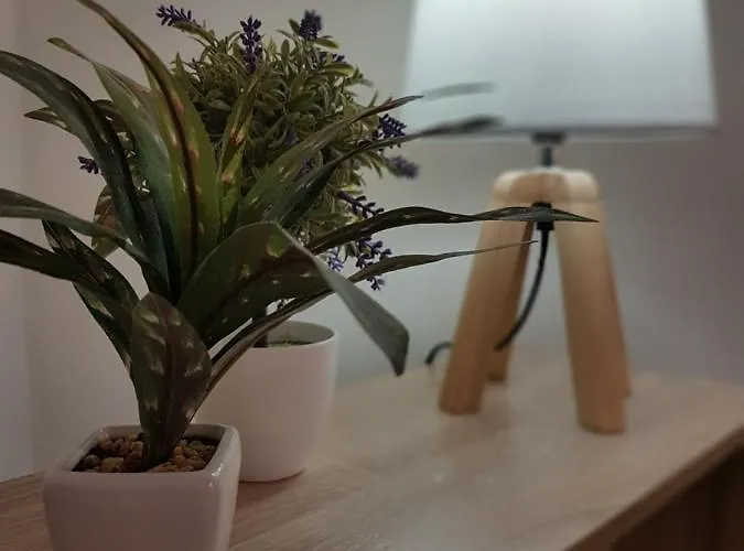 A Due Passi Dal Centro E Dal Mare *