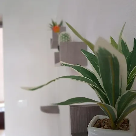 A Due Passi Dal Centro E Dal Mare * מרסאלה